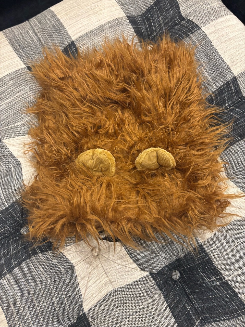 Dog costume - lion mane